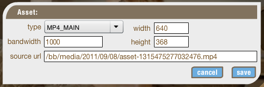Edit asset