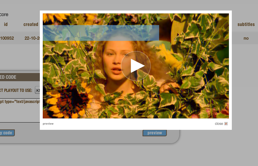 Video preview