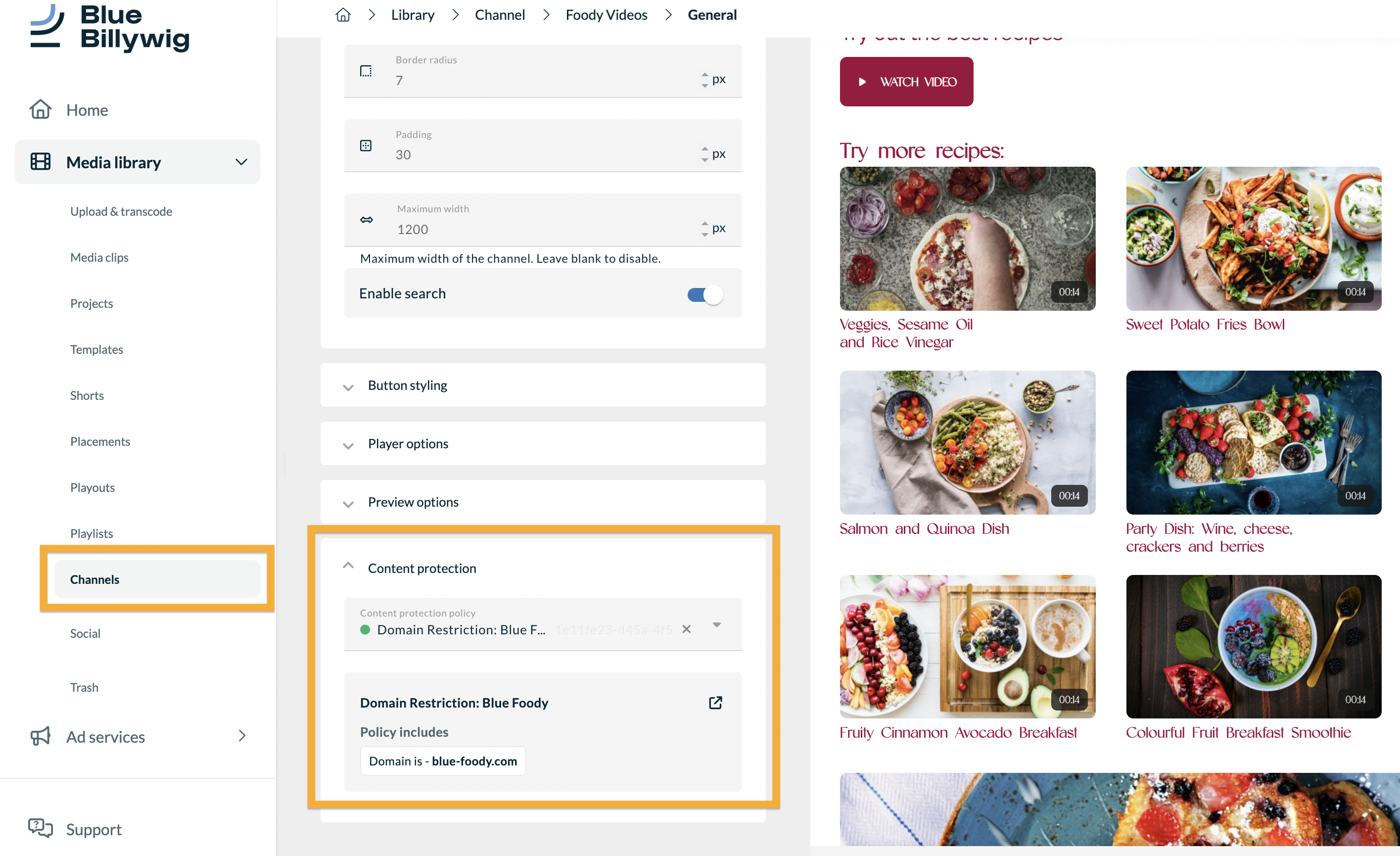 channel content protection